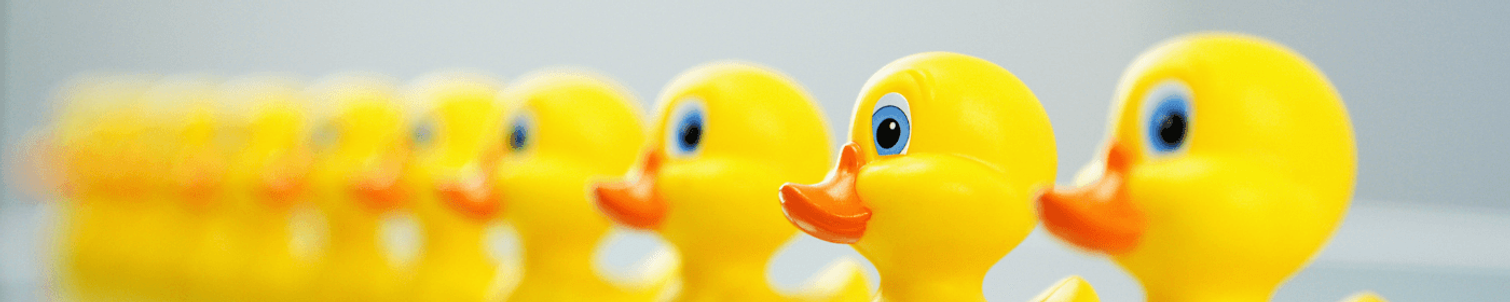 Ducks in a row w1400h500autocompress2 Cformatfitcropdm1737026501sb11180a718b24d7d1645fd7a95dc5c46