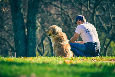 Man with his dog stock image